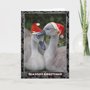Festiva Tarjeta de Navidades Cygnet
