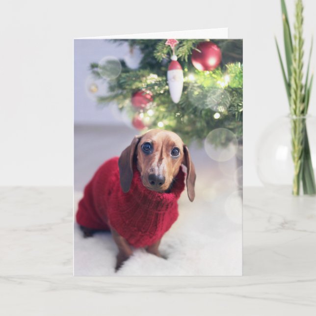 Festiva Tarjeta de Navidades Dachshund (Anverso)