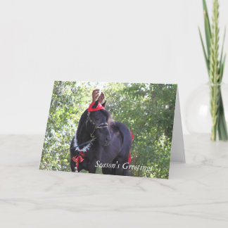 Festiva Tarjeta de Navidades Dales Pony