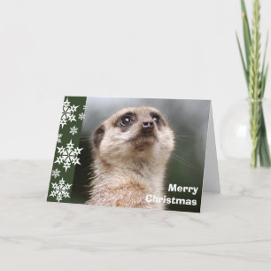 Festiva Tarjeta de Navidades de Alert Meerkat