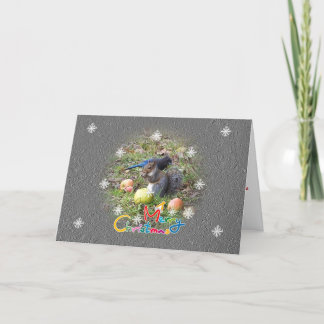 Festiva Tarjeta De Navidades De Amigo De Squirrel Y Stelle