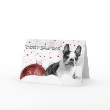 Tarjeta de Navidades de Boston Terrier