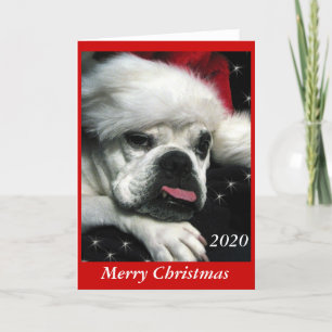 Festiva Tarjeta de Navidades de Bulldog inglés.