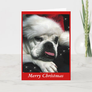 Festiva Tarjeta de Navidades de Bulldog inglés.