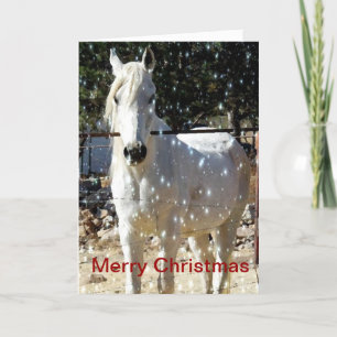 Festiva Tarjeta de Navidades de Caballos Árabes