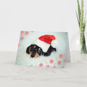 Festiva Tarjeta de Navidades de cachorros de Dachshund
