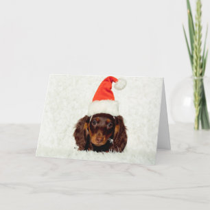 Festiva Tarjeta de Navidades de cachorros de Dachshund