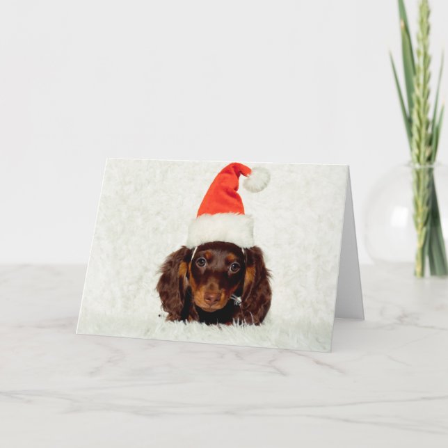 Festiva Tarjeta de Navidades de cachorros de Dachshund (Anverso)