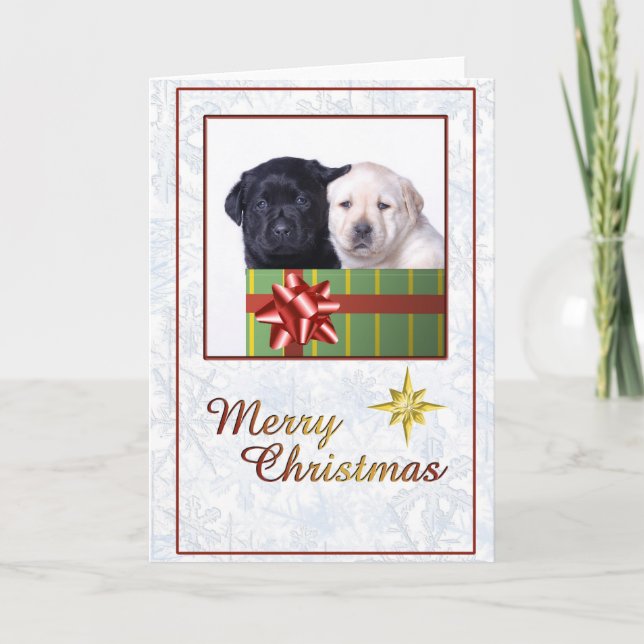 Festiva Tarjeta de navidades de cachorros de Labrador (Anverso)