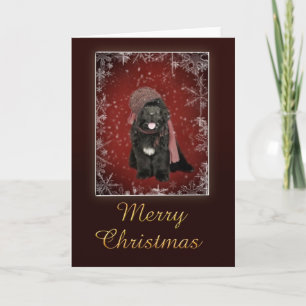 Festiva Tarjeta de Navidades de cachorros de Terranova