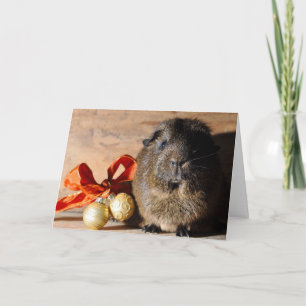 Festiva Tarjeta de Navidades de cerdo de Guinea