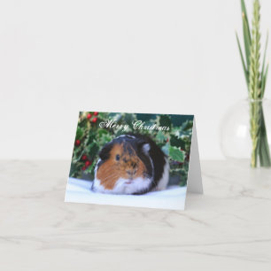 Festiva Tarjeta de Navidades de cerdo de Guinea