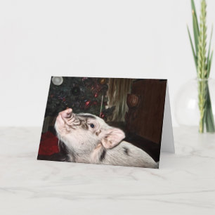 Festiva Tarjeta de Navidades de cerdo pintada con paz y am