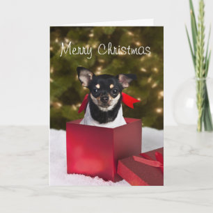Festiva Tarjeta de Navidades de Chihuahua Negra