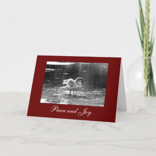 Festiva Tarjeta de Navidades de cisne gris