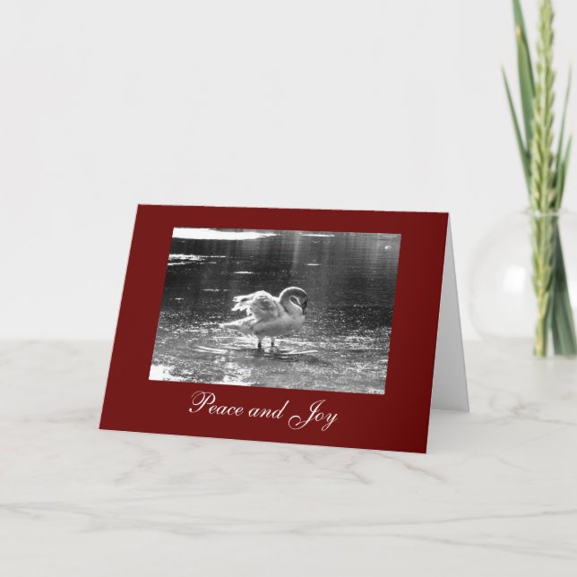 Festiva Tarjeta de Navidades de cisne gris (Anverso)