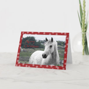 Festiva Tarjeta de Navidades de Connemara Pony