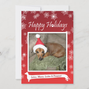 Festiva Tarjeta de Navidades de copos de nieve para perros
