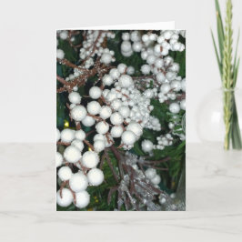 Festiva Tarjeta de Navidades de Cranberry Blanca