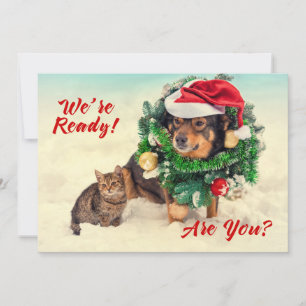 Festiva Tarjeta de Navidades de dos lados para gato y perr