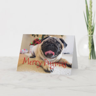 Festiva Tarjeta de Navidades de Feliz Pugmas