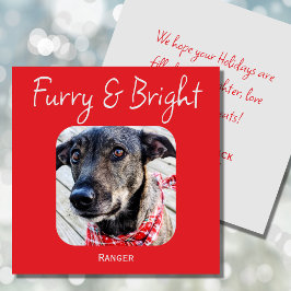 Festiva Tarjeta de Navidades de foto de Mascota Minimista