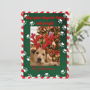 Festiva Tarjeta de Navidades de fotografía de perro de pel