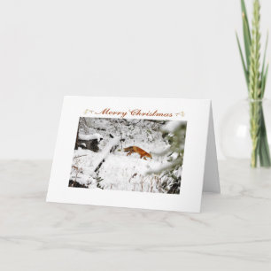 Festiva Tarjeta de Navidades de fotos de la nieve de Fox e