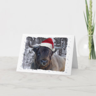 Festiva Tarjeta de Navidades de ganado de Highland