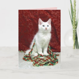 Festiva Tarjeta de Navidades de gato de Maine de Bianca