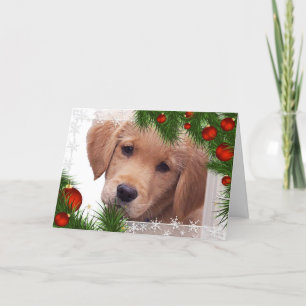 Festiva Tarjeta de Navidades de Golden Retriever - Cachorr