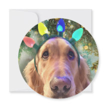 Tarjeta de Navidades de Golden Retriever redondead