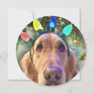 Festiva Tarjeta de Navidades de Golden Retriever redondead