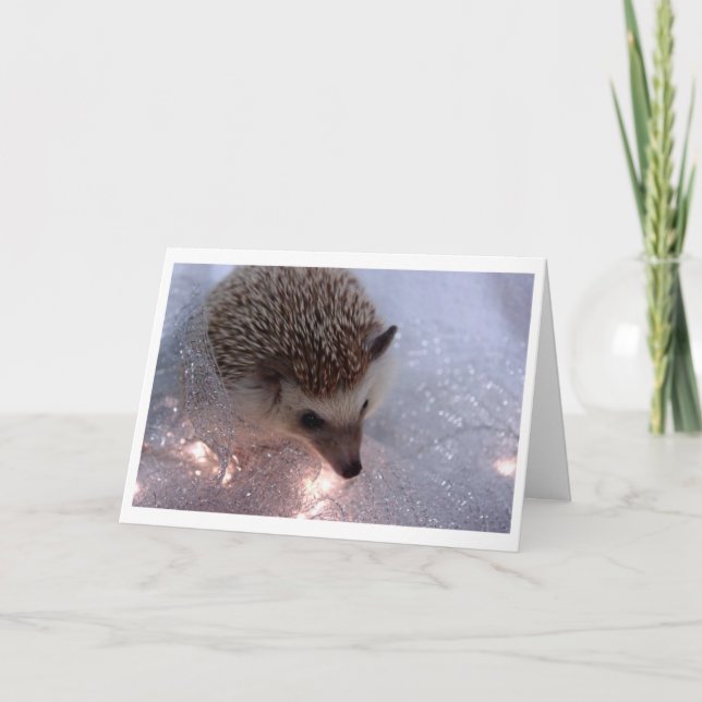 Festiva Tarjeta de Navidades de Hedgehog (Anverso)
