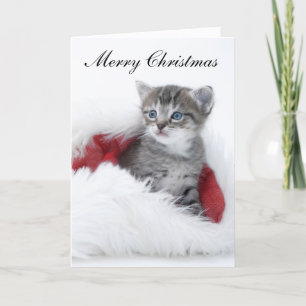 Festiva Tarjeta de Navidades de Kitten