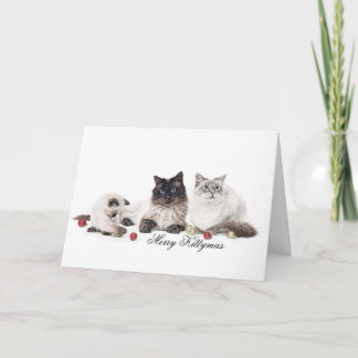 Festiva Tarjeta de Navidades de la familia Ragdoll