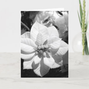 Festiva Tarjeta de Navidades de la poinsettia negra y blan