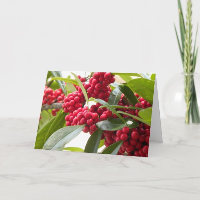 Festiva Tarjeta de Navidades de las bayas rojas (Anverso)