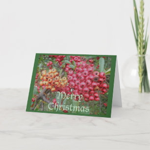 Festiva Tarjeta de Navidades de las Berries Rojas
