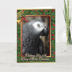 Festiva Tarjeta de Navidades de loro gris africano