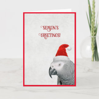 Festiva Tarjeta de Navidades de loro gris africano
