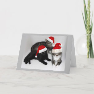 Festiva Tarjeta de Navidades de los ayudantes de gatito de