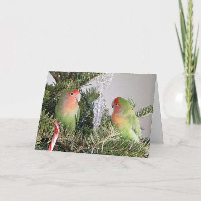 Festiva Tarjeta de Navidades de Lovebird (Anverso)