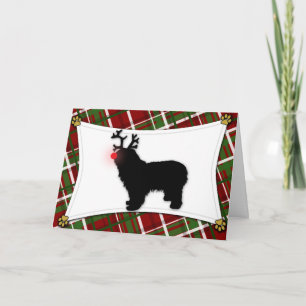 Festiva Tarjeta de Navidades de Lowland Sheepdog de Poloni