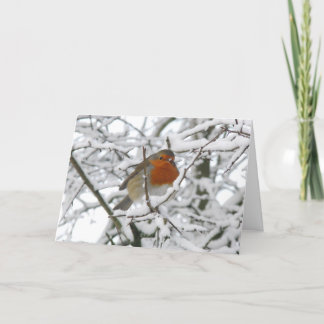 Festiva Tarjeta de Navidades de lujo Winter Robin