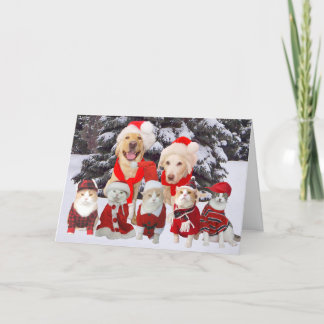 Festiva Tarjeta de Navidades de Mascotas divertidos de per