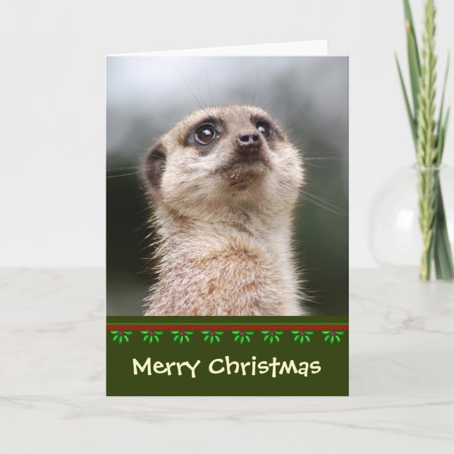 Festiva Tarjeta de Navidades de Meerkat (Anverso)