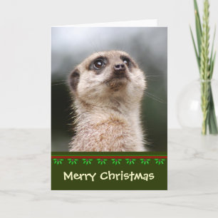 Festiva Tarjeta de Navidades de Meerkat