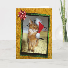 Festiva Tarjeta de Navidades de Naughty Kitty