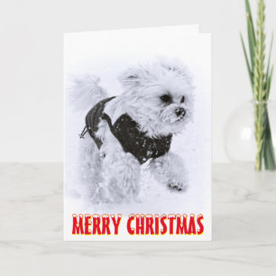 Festiva Tarjeta de Navidades de nieve de perro lindo